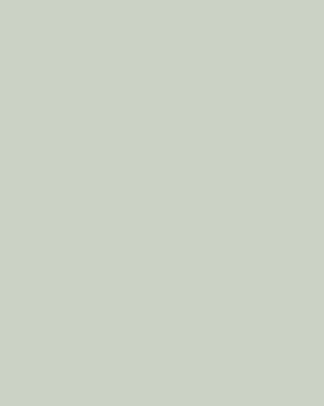 color_cbd2c5.png
